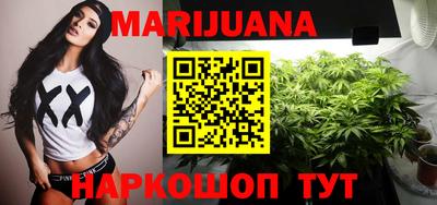 сатива Гай