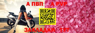 сатива Гай
