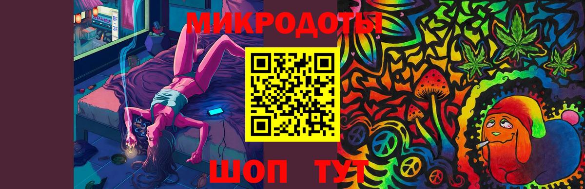 Галлюциногенные грибы Psilocybe  Керчь 